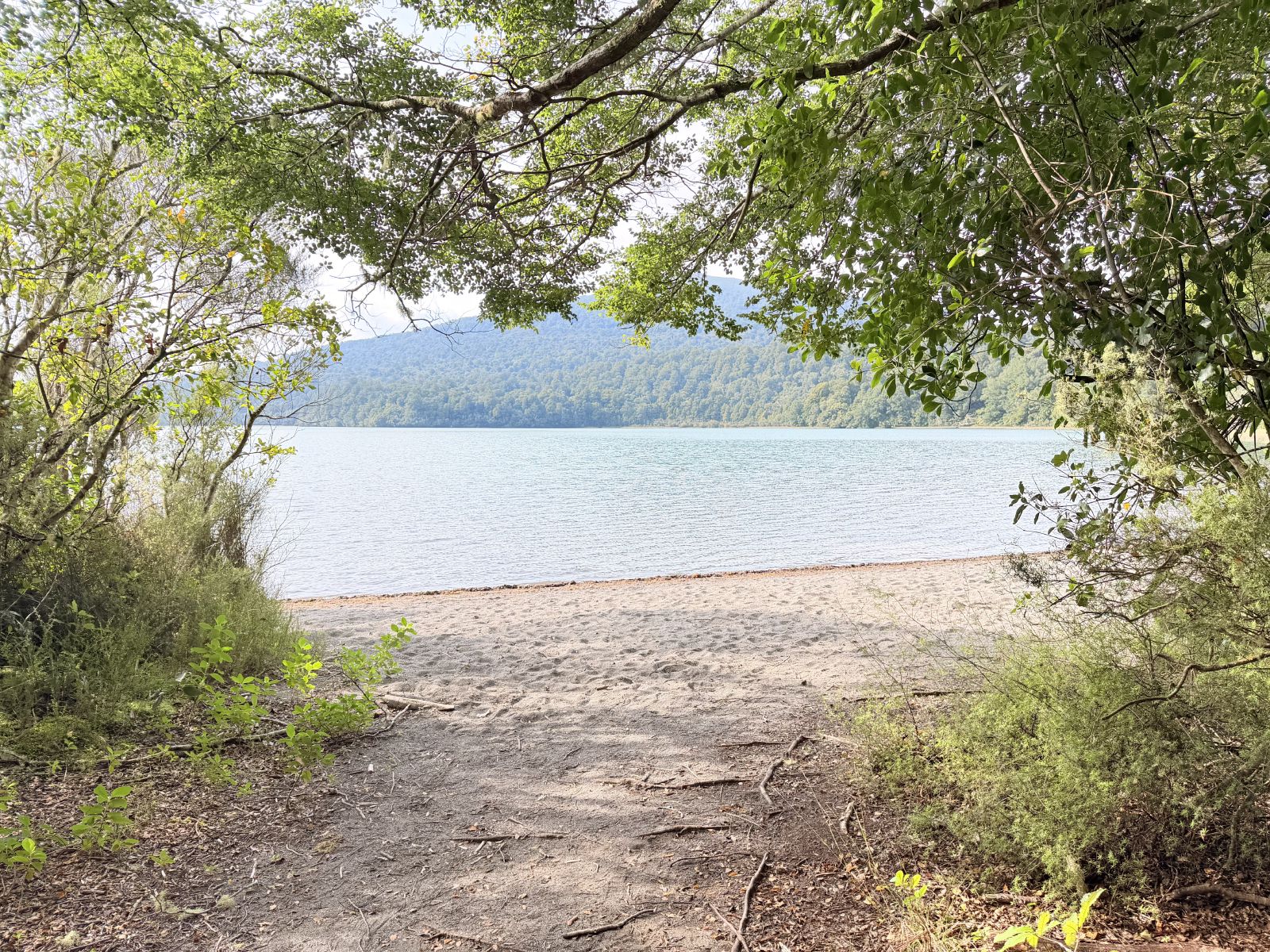 First view of Lake Rotopounamu through a clearing in the beech forest