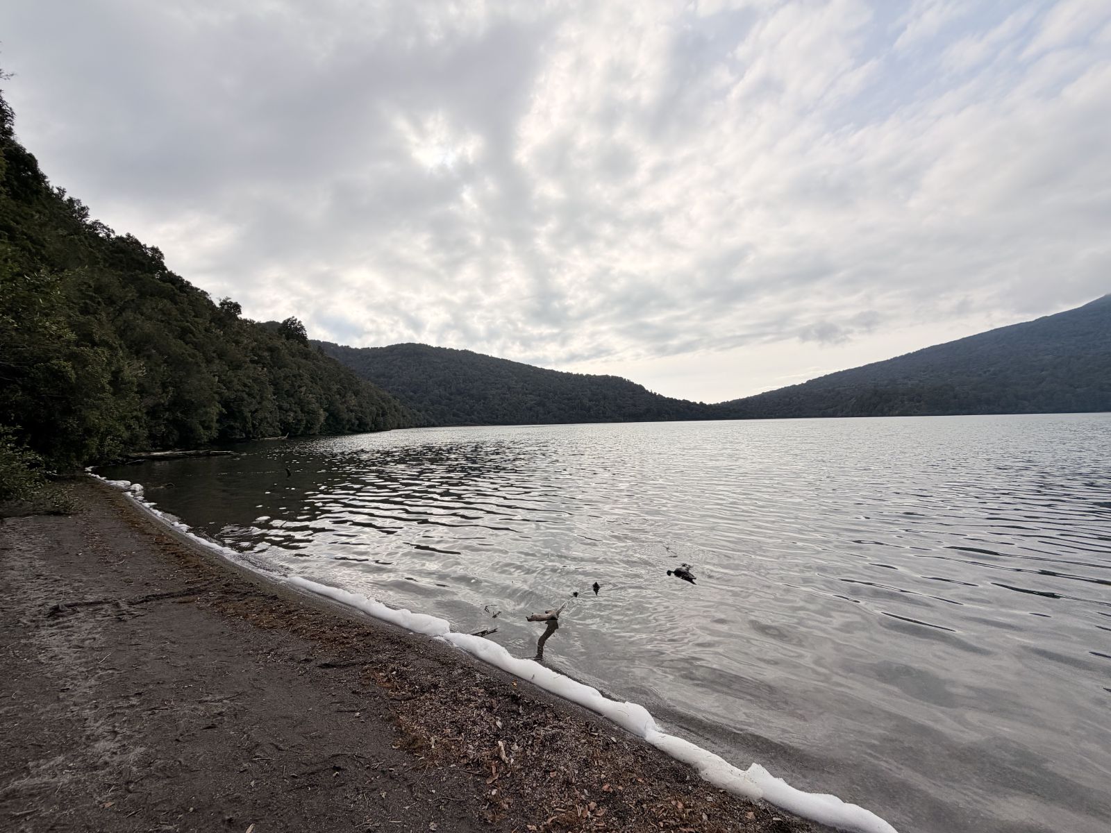 Calm overcast morning on Lake Rotopounamu, water silver and flat