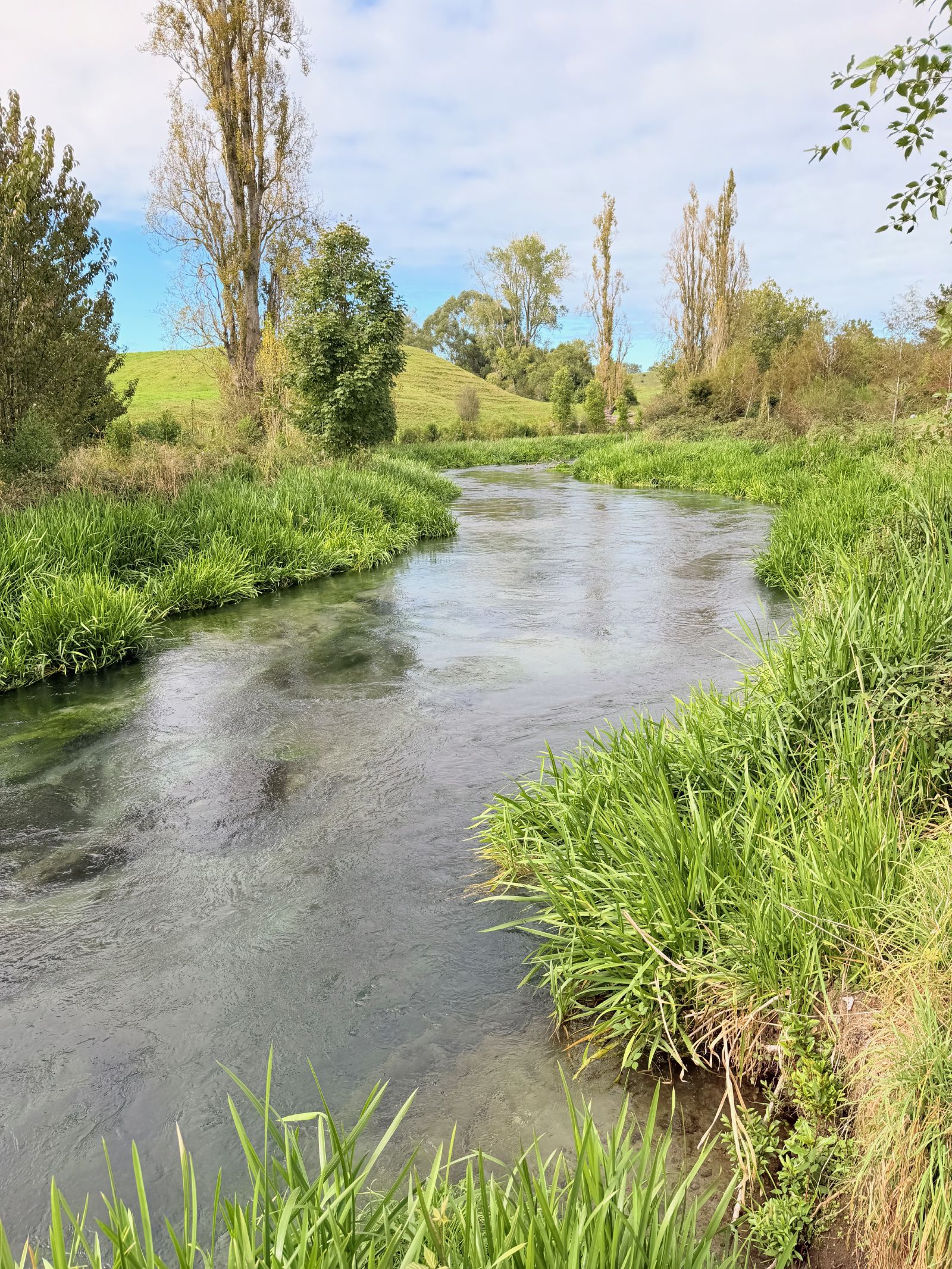 The stream running through the farmland