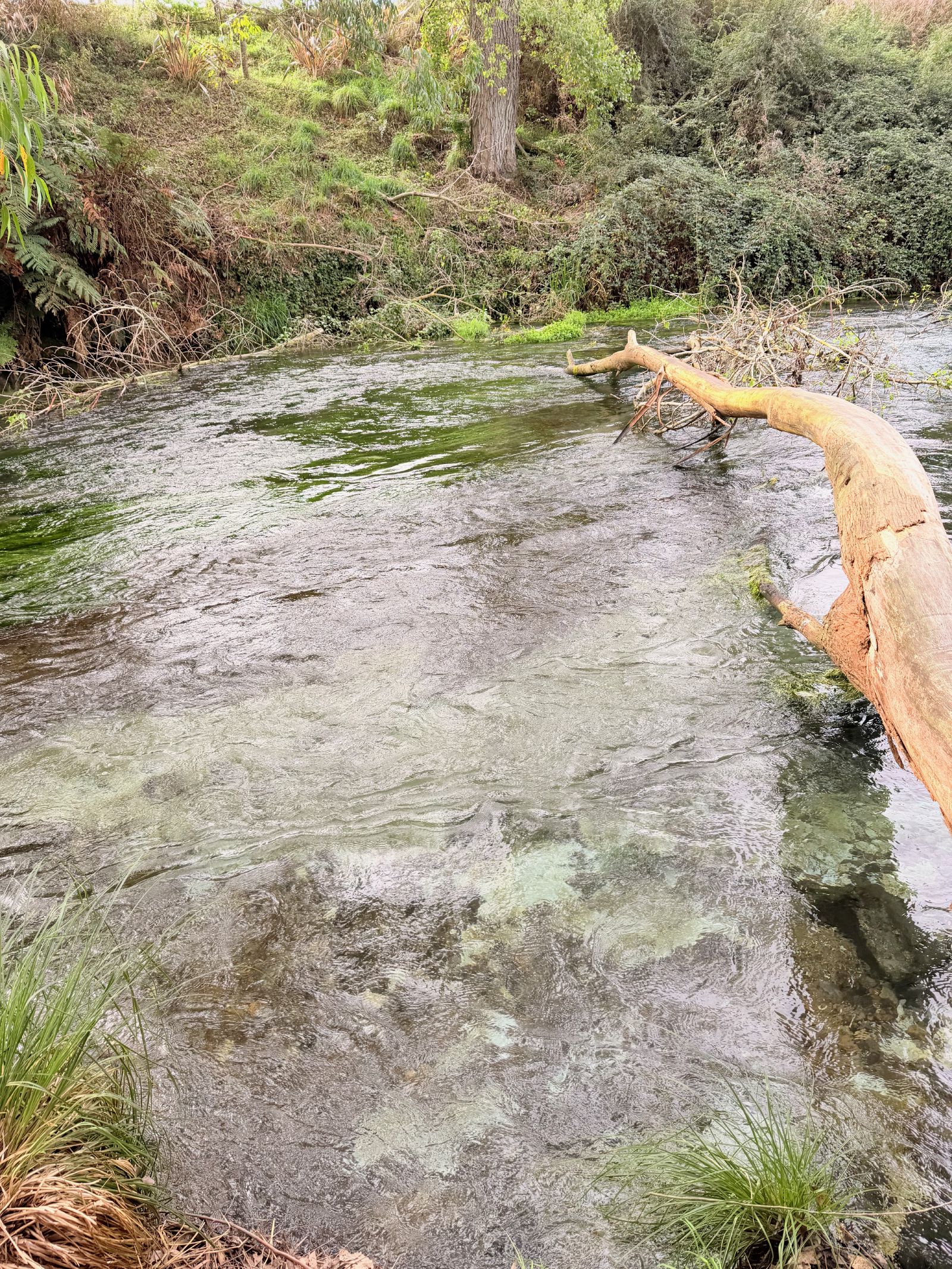 Close up of the spring water