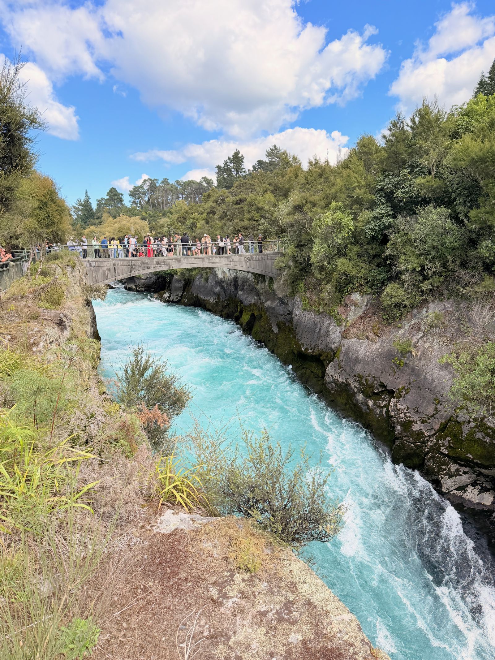 Looking down the gorge from the lookout